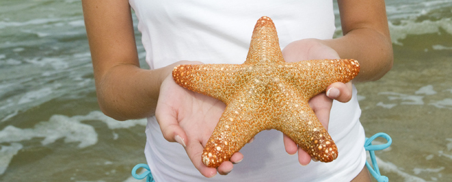 How to Get Smell Out of Starfish