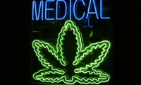 How to Get Weed Smell Out of Backpack?