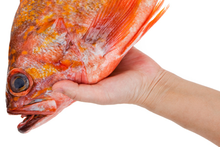 How to Get Fish Smell Out of Hands