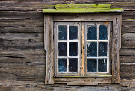 How to Get Mold Smell Out of Wood