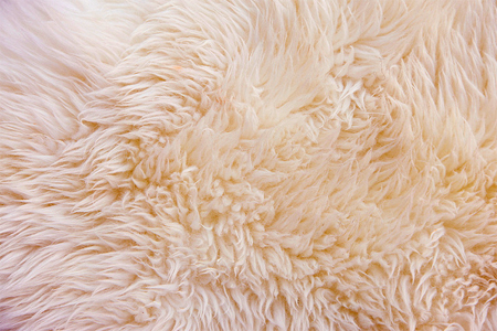 How to Get Smell Out of Sheepskin